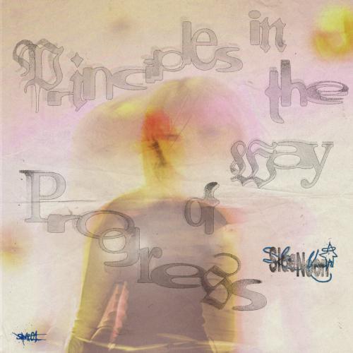 Cover Principles In The Way of Progress