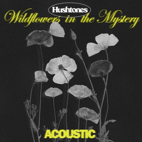 Cover Flowers in the Mystery (Acoustic)