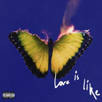 Cover Love Is Like