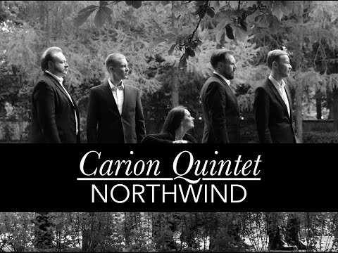 Video Carion Northwind Promotion