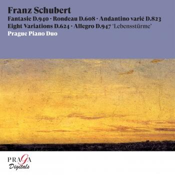 Cover Franz Schubert Fantasie, D. 940, Rondeau, D. 608, Andantino varié, D. 823, Eight Variations, D. 624, Allegro, D. 947 Lebensstürme