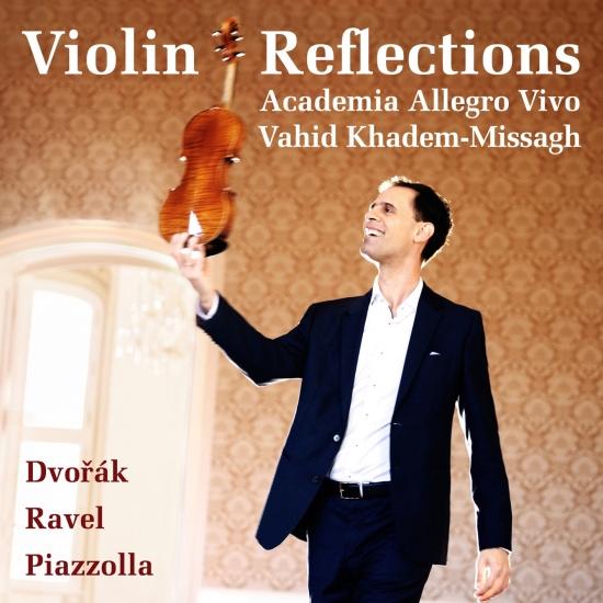 Cover Violin Reflections (Live)