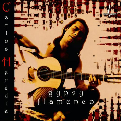 Cover Gypsy Flamenco