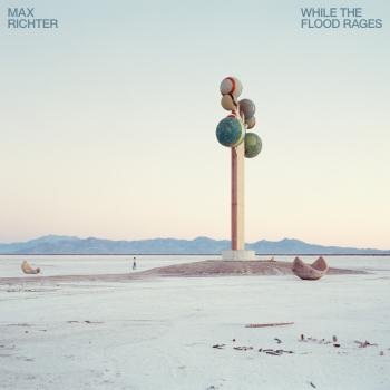 Cover While The Flood Rages