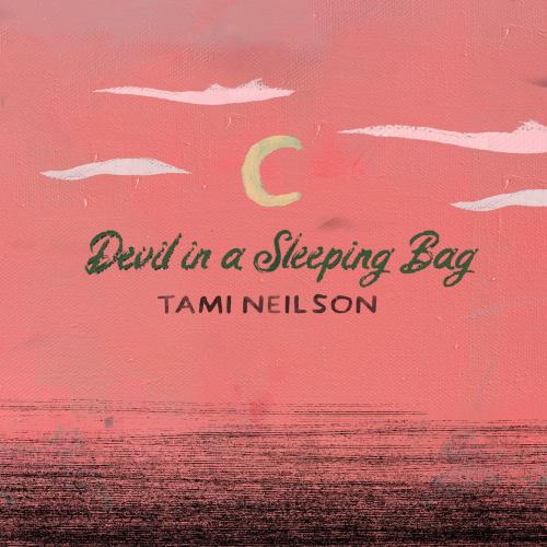 Cover Devil In A Sleeping Bag