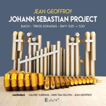 Cover Jean Geoffroy: Johann Sebastian Project - Bach Trio Sonatas BWV 525-530