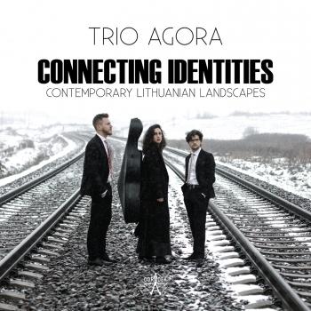 Cover Connecting Identities: Contemporary Lithuanian Landscapes