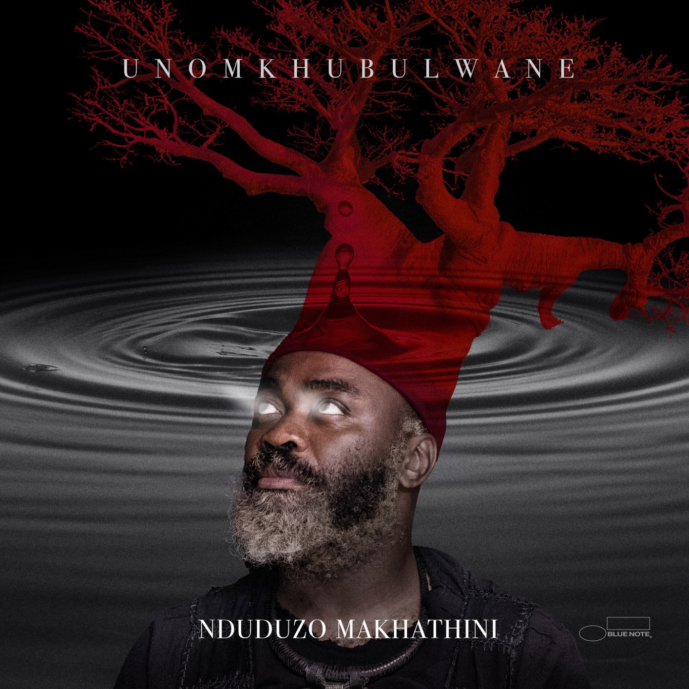 Cover uNomkhubulwane