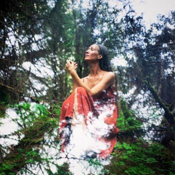 Cover Feed the Fire, Breathe the Night