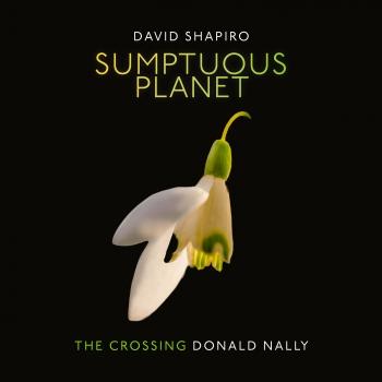 Cover David Shapiro: Sumptuous Planet (A Secular Mass)