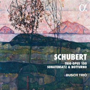 Cover Schubert: Trio Opus 100, Sonatensatz & Notturno