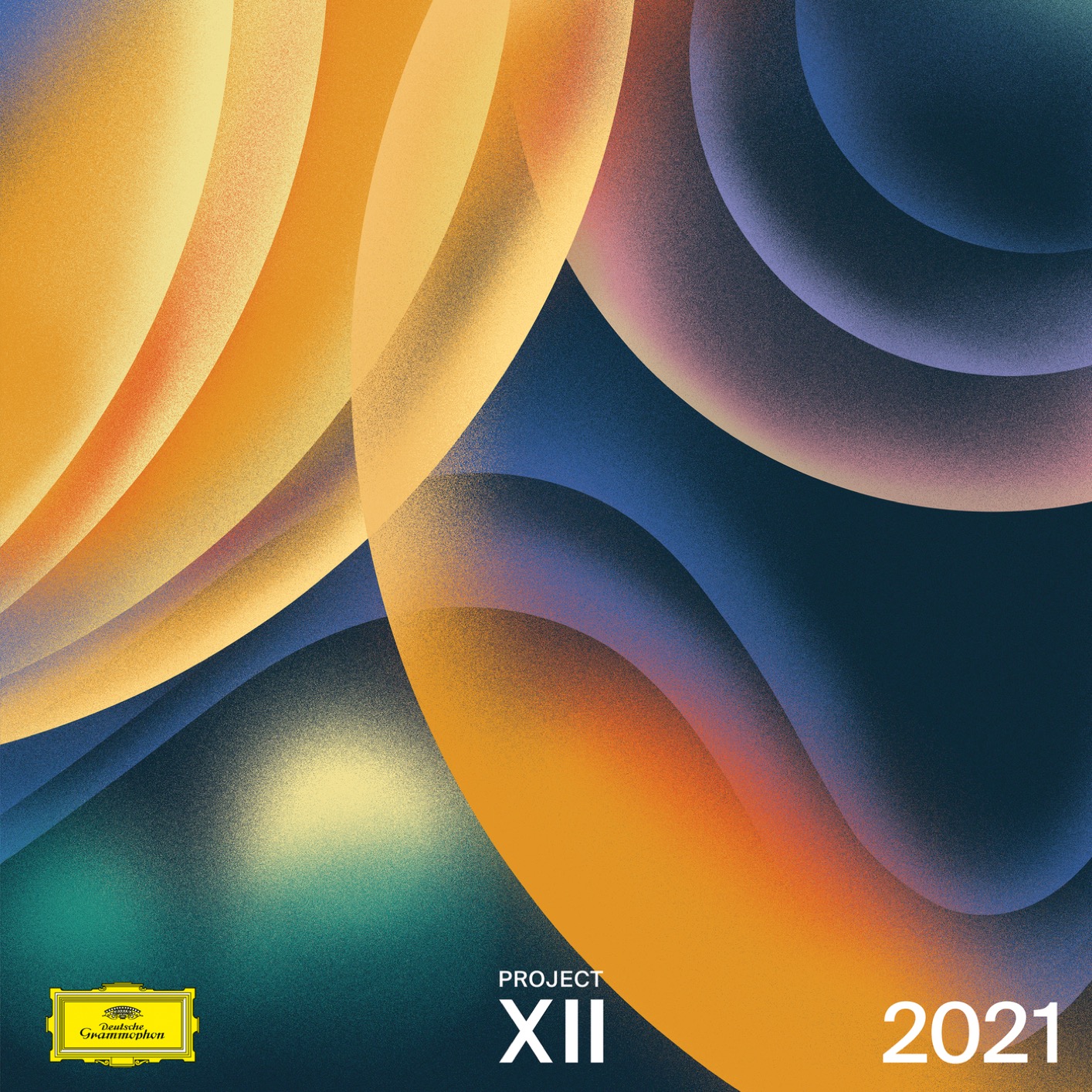 Cover Project XII 2021