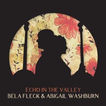 Cover Echo In The Valley