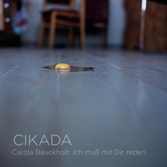 Cover Carola Bauckholt: Ich muss mit Dir reden