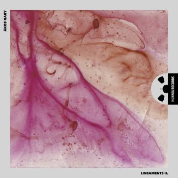 Cover Lineaments II