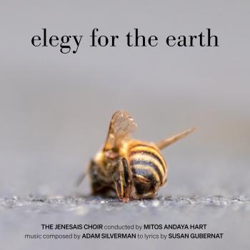 Cover Adam Silverman: Elegy for the Earth
