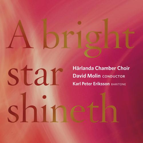 Cover A Bright Star Shineth