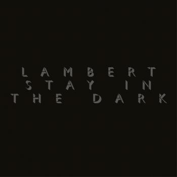 Cover Stay In The Dark