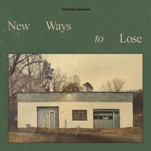 Cover New Ways to Lose
