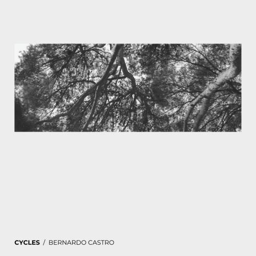 Cover Cycles