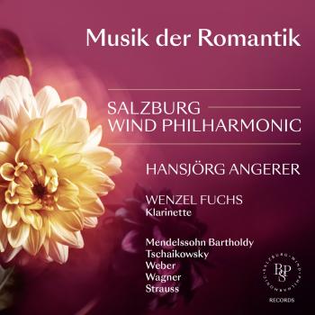 Cover Musik der Romantik