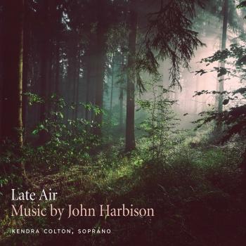 Cover Late Air