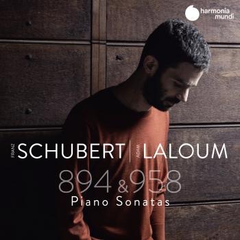 Cover Schubert: Sonatas D. 894 & D. 958