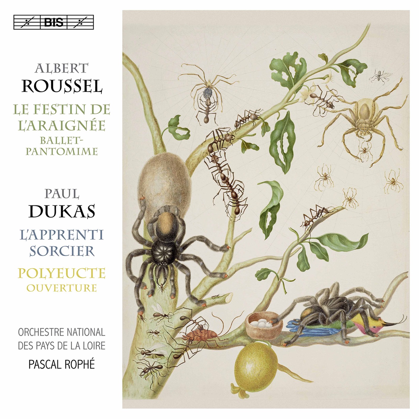 Cover Dukas: Polyeucte Overture & L'apprenti sorcier - Roussel: Le festin de l'araignée