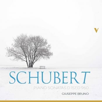 Cover Schubert: Piano Sonatas, D. 157 & 960
