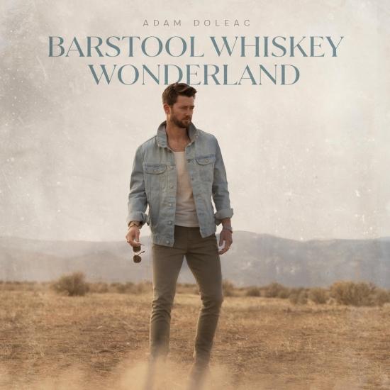 Cover Barstool Whiskey Wonderland