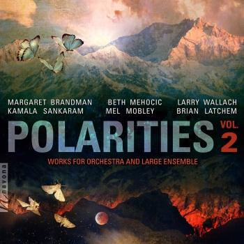 Cover Polarities, Vol. 2