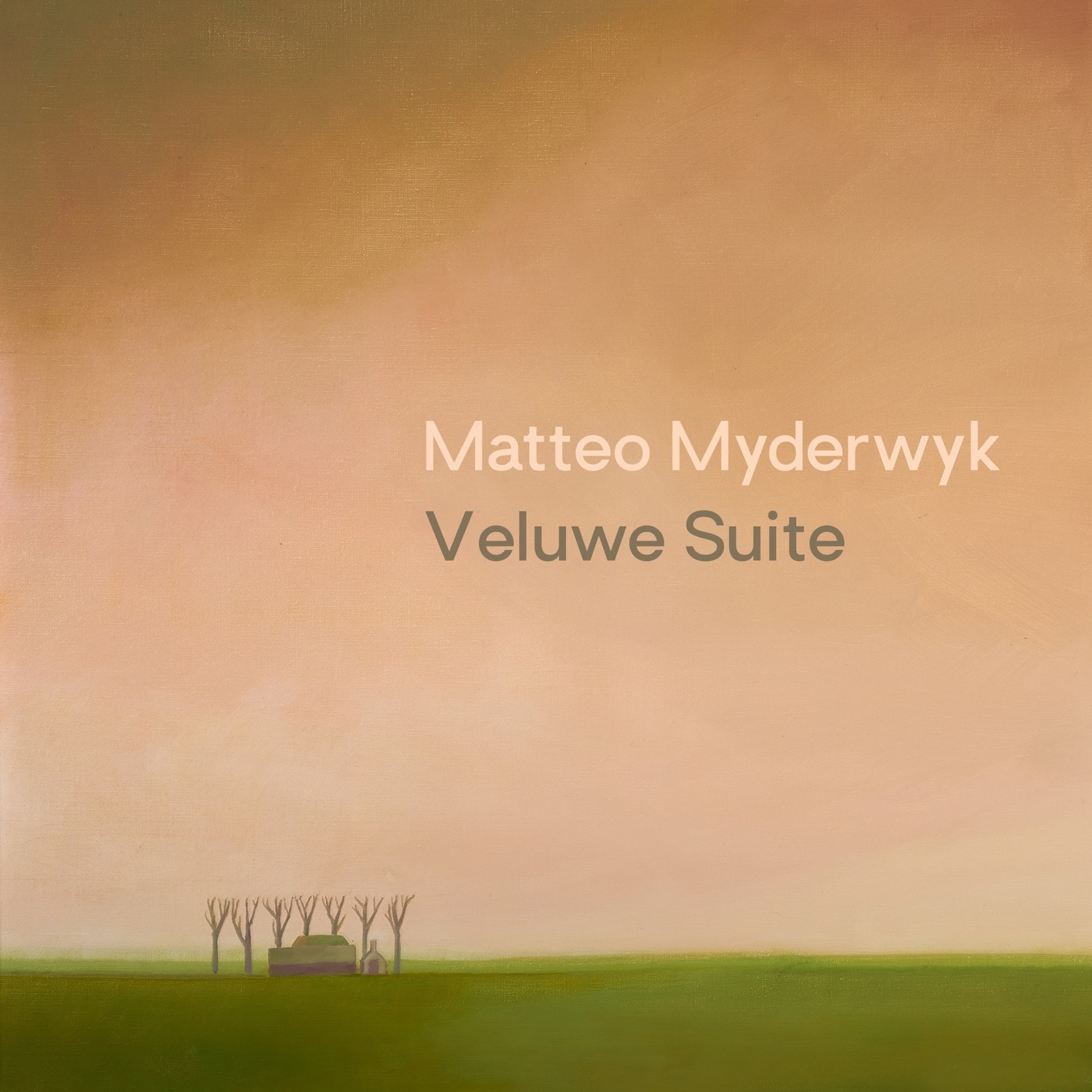 Cover Veluwe Suite