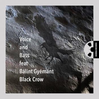 Cover Black Crow