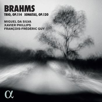 Cover Brahms: Trio, Op. 114 & Sonatas, Op. 120
