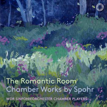 Cover The Romantic Room: Chamber Works by Spohr