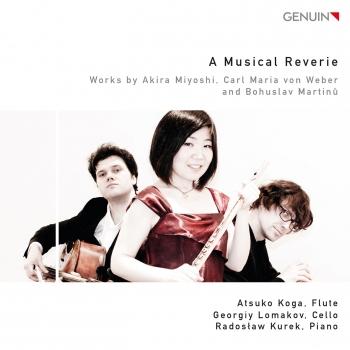 Cover A Musical Reverie