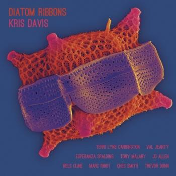 Cover Diatom Ribbons