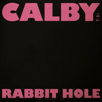 Cover Rabbit Hole