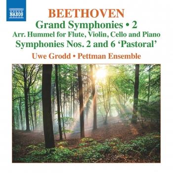 Cover Beethoven: Grand Symphonies, Vol. 2
