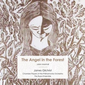 Cover Julian Marshall: The Angel in the Forest