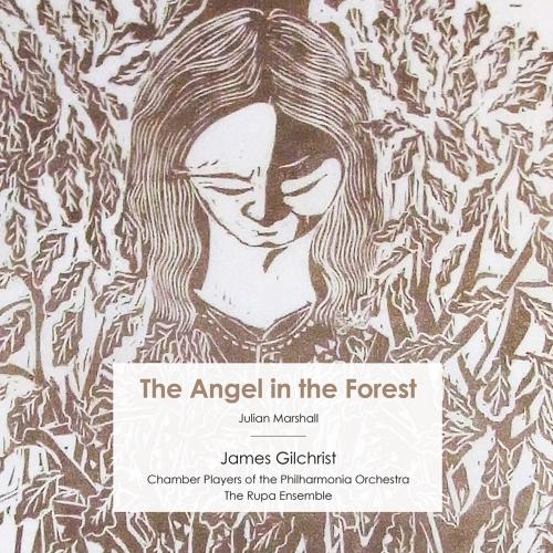 Cover Julian Marshall: The Angel in the Forest