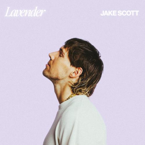 Cover Lavender