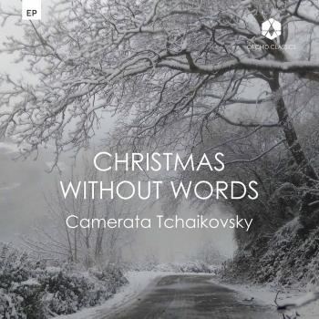 Cover Christmas Without Words
