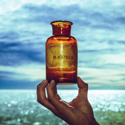 Cover Blackfield V