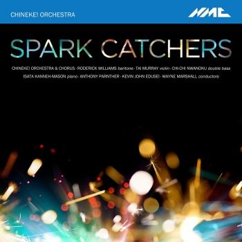 Cover Spark Catchers