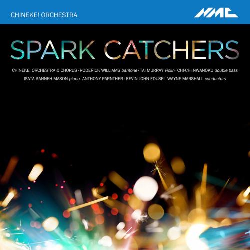 Cover Spark Catchers