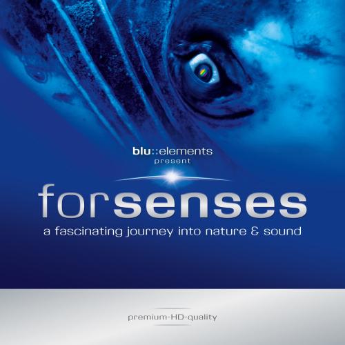 Cover Forsenses I - A Fascinating Journey into Nature and Sound