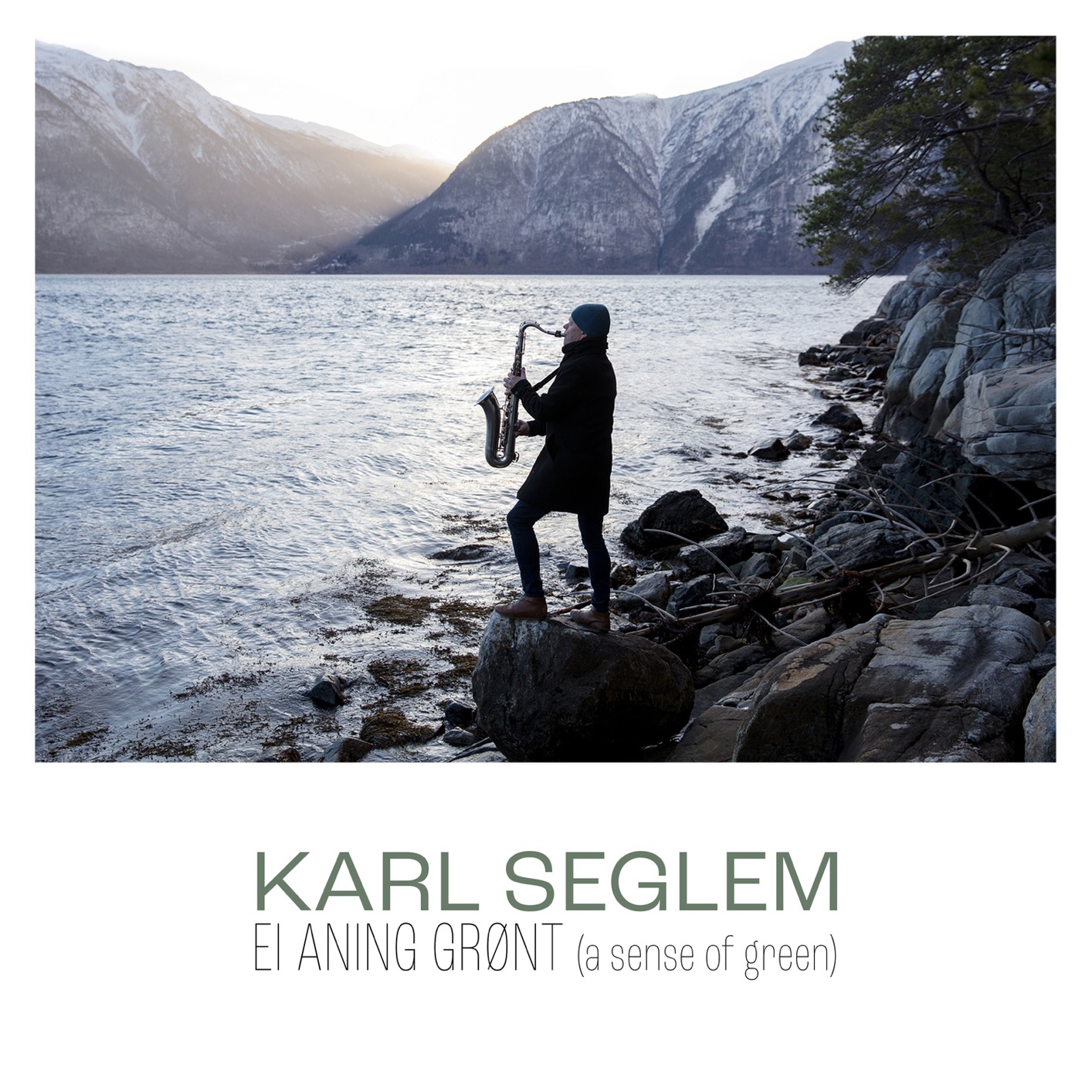 Cover Ei aning grønt (a sense of green)