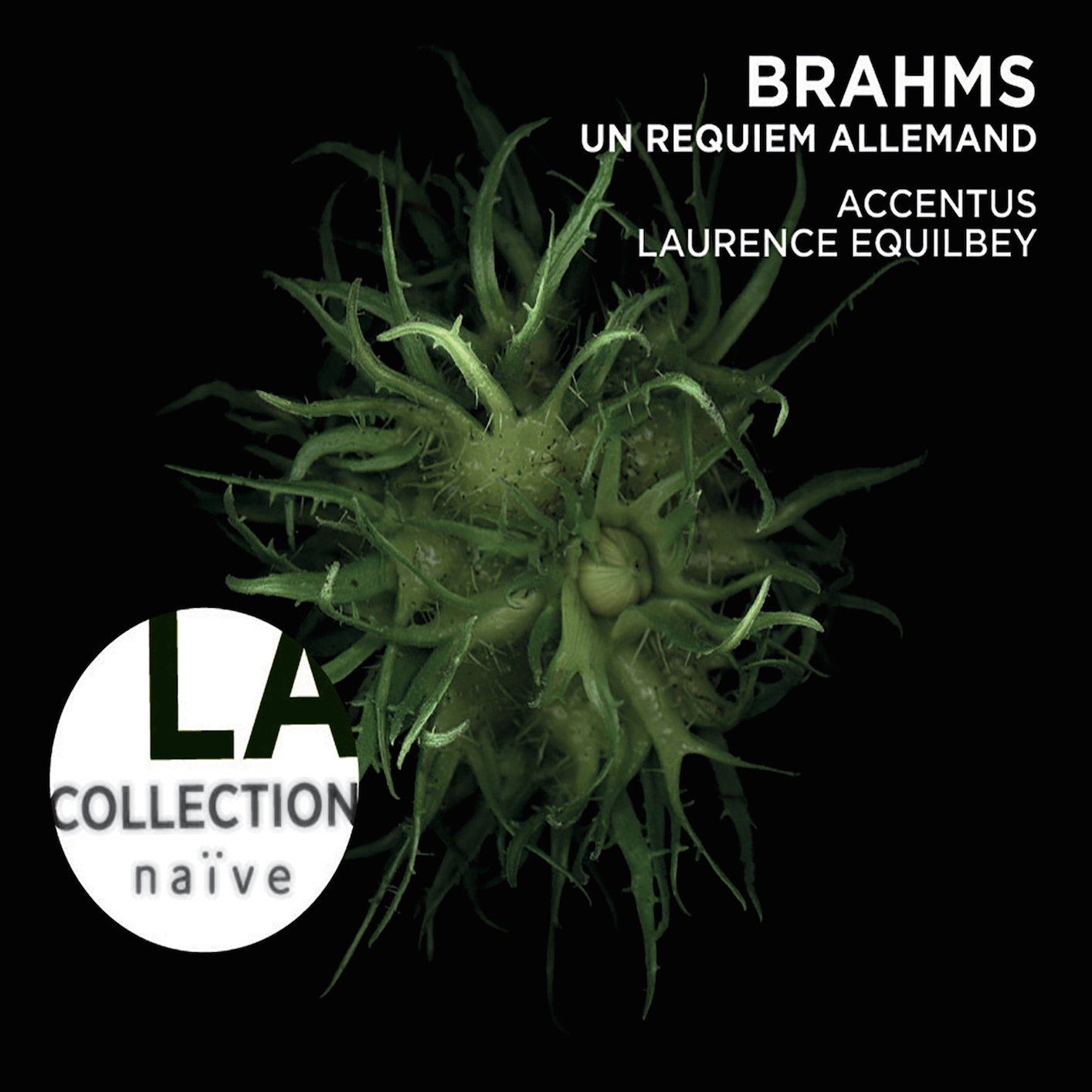 Cover Brahms: Ein Deutsches Requiem, Op. 45 (London version with Piano)