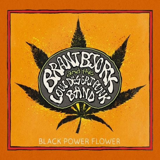 Cover Black Power Flower